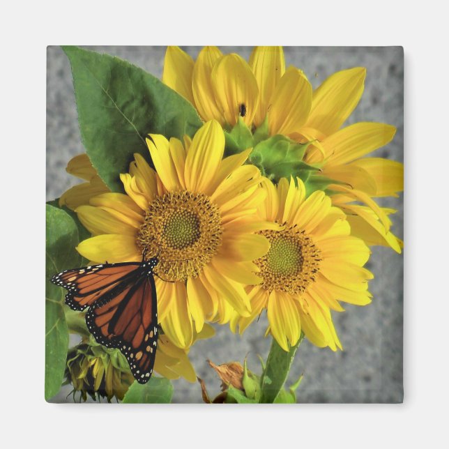 Imán Sunflowers and Monarch Butterfly Fridge Magnet (Frente)