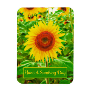 Imán Sunflowers Country Yellow Green Bright Floral