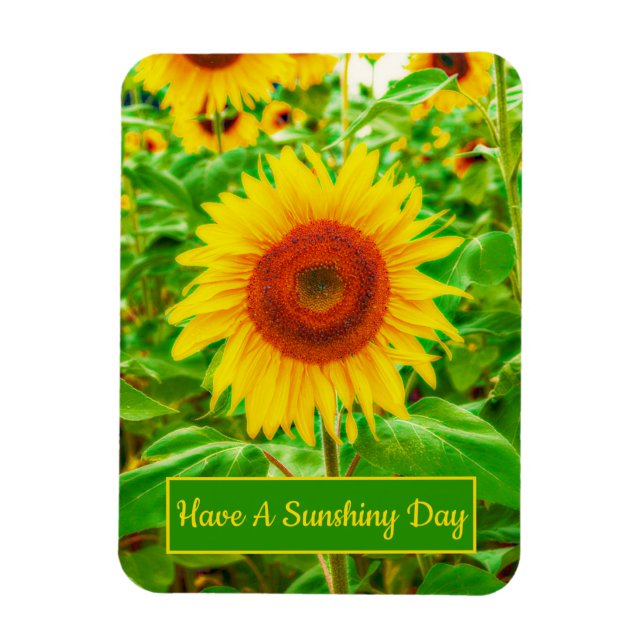Imán Sunflowers Country Yellow Green Bright Floral (Vertical)