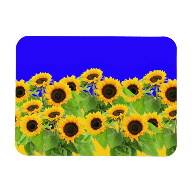 Imán Sunflowers - Ucrania, bandera ucraniana, Libertad  (Horizontal)