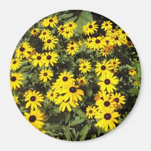 Imán Sunlit Meadow
