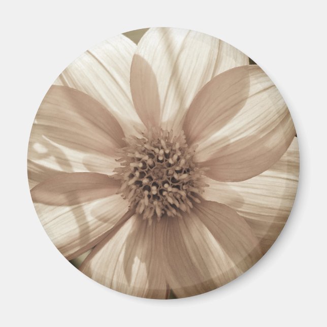 Imán Sunny Dahlia (Frente)