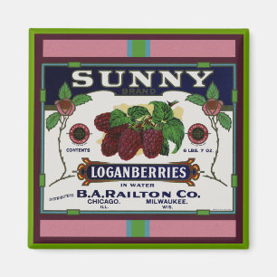 Imán Sunny Loganberry Fruit