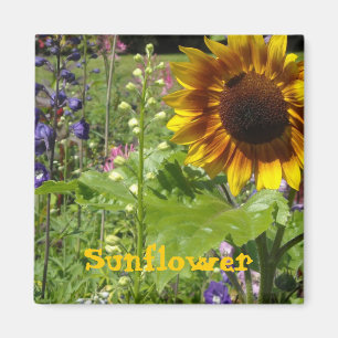 Imán Sunny Sunflower