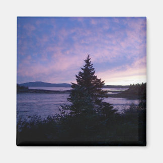 Imán Sunset, Isla del Desierto del Monte