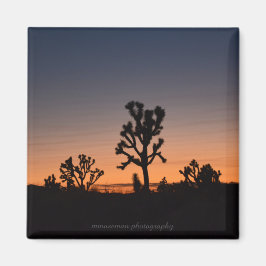Imán Sunset Joshua Trees