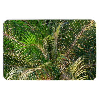 Imán Sunset Lit Palm Fronds Tropical