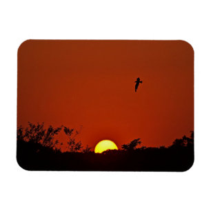 Imán Sunset Magnet