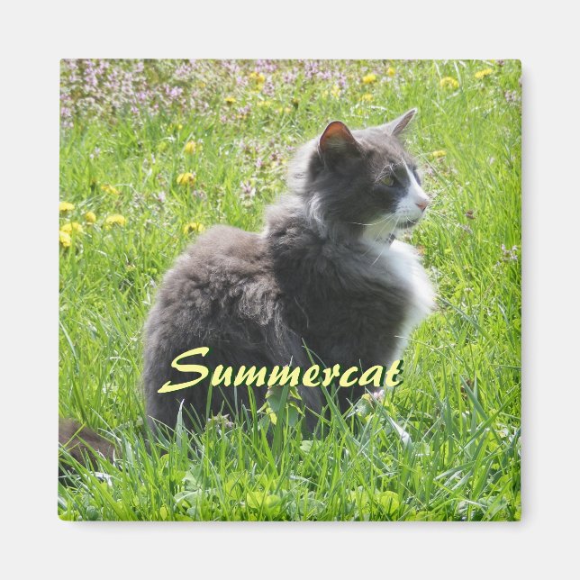 Imán Sunshine Cat Magnet (Frente)