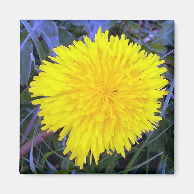 Imán Sunshine terrestre (Frente)