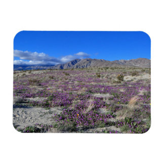 Imán Super Bloom del Desierto 2019 Borrego Springs CA
