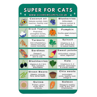 Imán Super Foods for Cats Fridge Magnet
