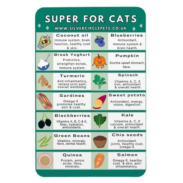 Imán Super Foods for Cats Fridge Magnet (Vertical)