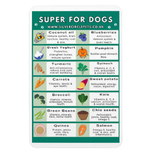 Imán Super Foods for Dogs Fridge Magnet