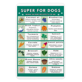 Imán Super Foods for Dogs Fridge Magnet