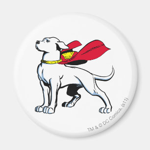Imán Superdog Krypto
