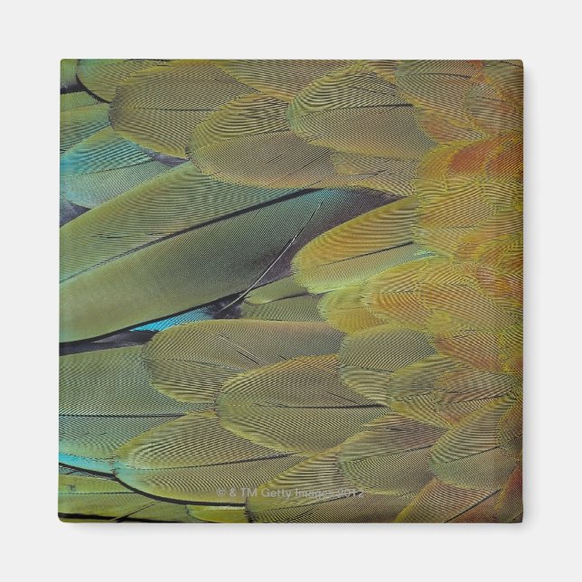 Imán Superficie de la pluma (Frente)