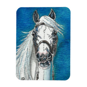 Imán superior de Flexi del caballo andaluz