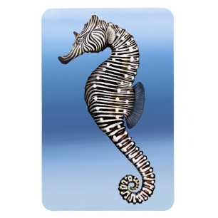 Imán superior de Flexi del caballo de mar de la