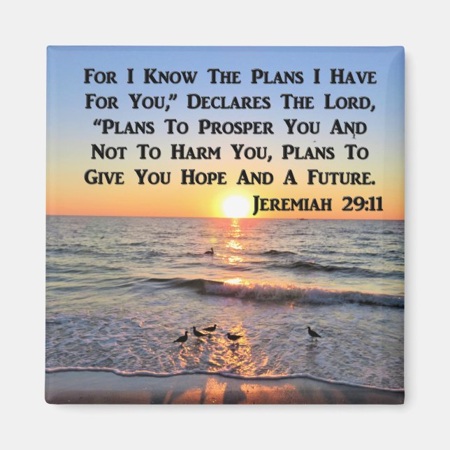 IMÁN SUPLEMENTO DE JEREMIAH 29:11 (Frente)
