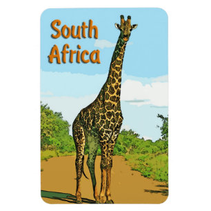 Imán Suráfrica