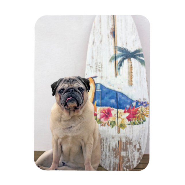 Imán Surf Pug (Vertical)