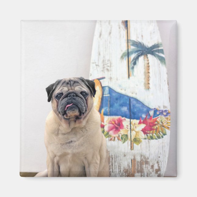 Imán Surf Pug (Frente)
