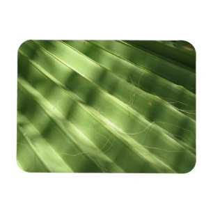 Imán Surfaces Guay Naturales_Fluted Frond
