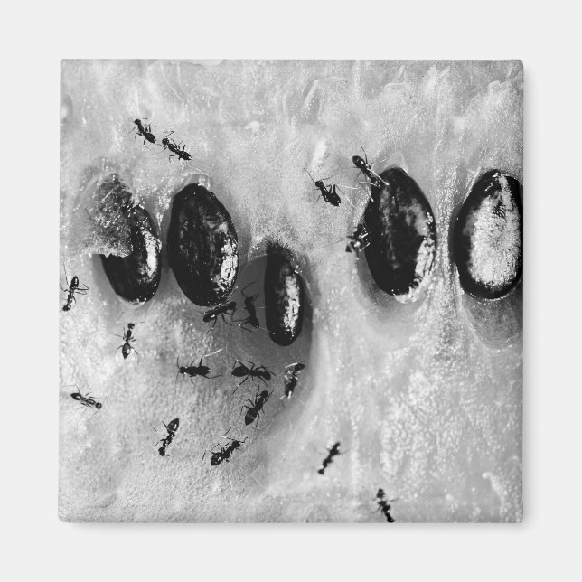 Imán surfear (Frente)