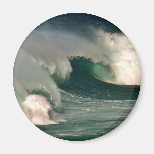 Imán ¡Surf's Up! (Frente)