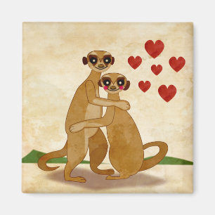 Imán Suricate