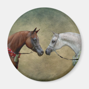 Imán Surreal dos caballos pintando.
