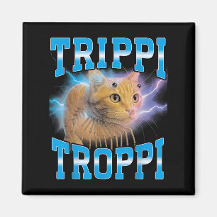 Imán Surreal italiano Brainrot Meme Trippi Troppi Cat F