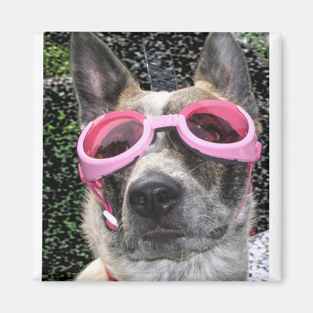 Imán Surrey Magnet (Frente)