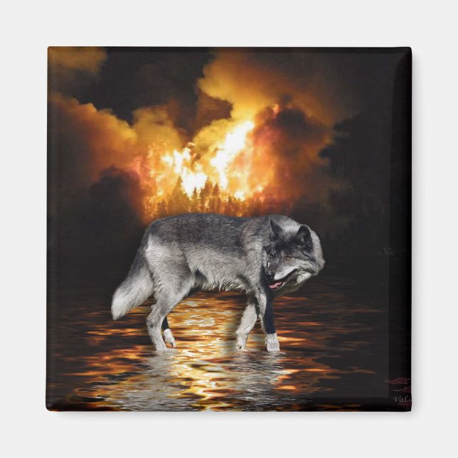 Imán "Survivor" Gray Wolf Magnet (Frente)