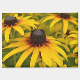 Imán Susan Flowers de ojos negros