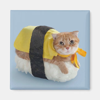 Imán Sushi Cat-6 Magnet