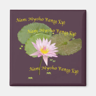 Imán Swaaj NMRK Magnet