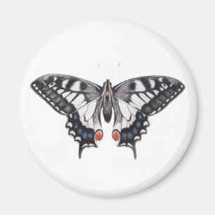 Imán Swallowtail 2012