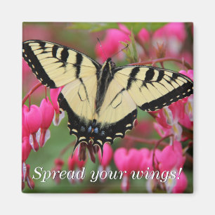 Imán Swallowtail del este 2