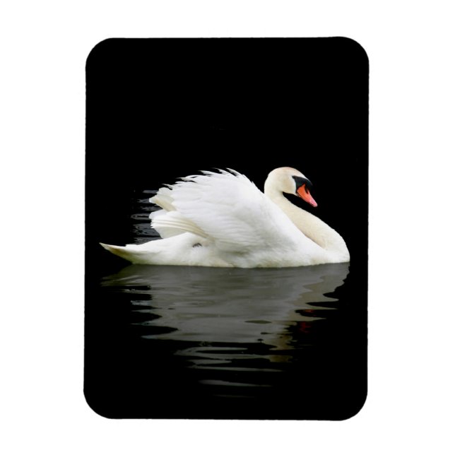 Imán Swan (Vertical)