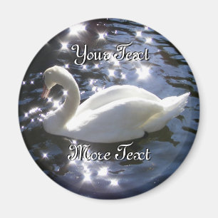 Imán Swan Magnet