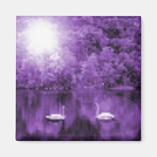 Imán Swan Song Magnet