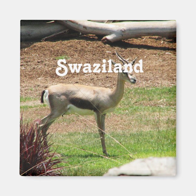 Imán Swazilandia Gazelle (Frente)
