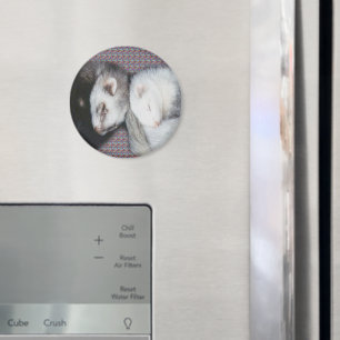 Imán Sweet Dreams Ferrets Magnet