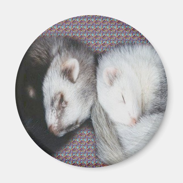 Imán Sweet Dreams Ferrets Magnet (Frente)