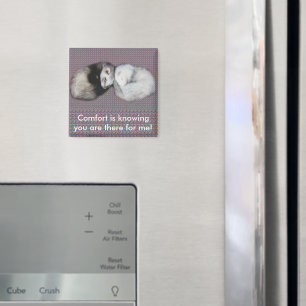 Imán Sweet Dreams Ferrets Magnet