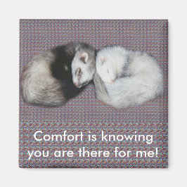 Imán Sweet Dreams Ferrets Magnet