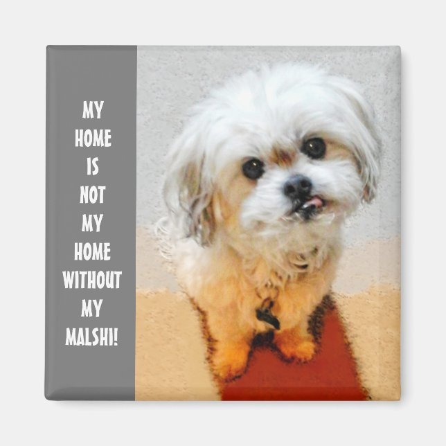 Imán Sweet Malshi Magnet (Frente)