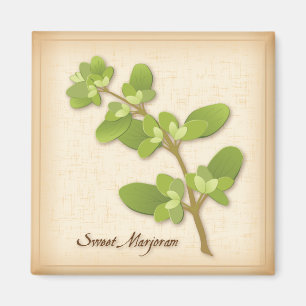 Imán Sweet Marjoram Herb